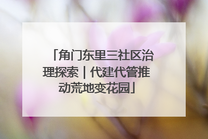 角门东里三社区治理探索｜代建代管推动荒地变花园