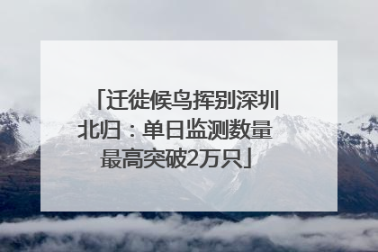 迁徙候鸟挥别深圳北归：单日监测数量最高突破2万只