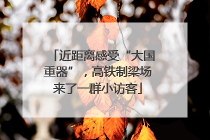 近距离感受“大国重器”，高铁制梁场来了一群小访客