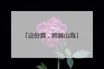 这份爱，跨越山海