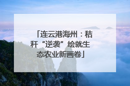 连云港海州：秸秆“逆袭”绘就生态农业新画卷