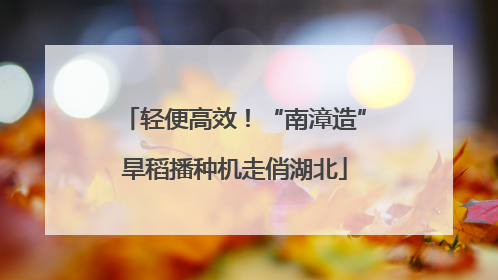 轻便高效！“南漳造”旱稻播种机走俏湖北