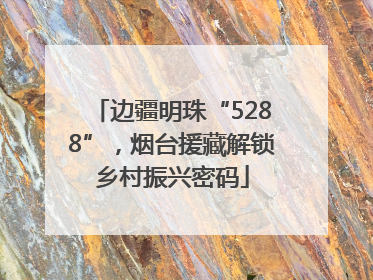 边疆明珠“5288”，烟台援藏解锁乡村振兴密码