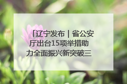 辽宁发布｜省公安厅出台15项举措助力全面振兴新突破三年行动决胜之战