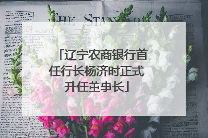 辽宁农商银行首任行长杨济时正式升任董事长