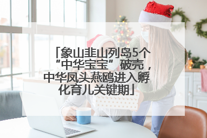 象山韭山列岛5个“中华宝宝”破壳，中华凤头燕鸥进入孵化育儿关键期