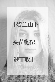 贺兰山下 头茬枸杞迎丰收