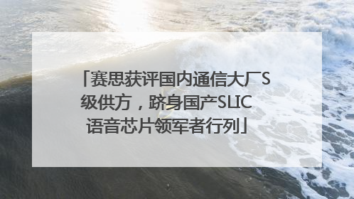赛思获评国内通信大厂S级供方，跻身国产SLIC语音芯片领军者行列