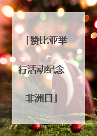 赞比亚举行活动纪念非洲日