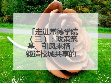 走进常德学院（三）：政策筑基、引凤来栖，锻造校城共享的“双师铁军”