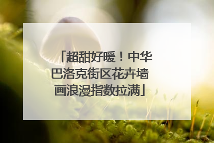 超甜好暖！中华巴洛克街区花卉墙画浪漫指数拉满