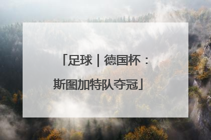 足球｜德国杯：斯图加特队夺冠