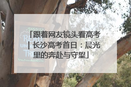 跟着网友镜头看高考｜长沙高考首日：晨光里的奔赴与守望