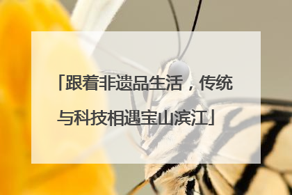 跟着非遗品生活，传统与科技相遇宝山滨江