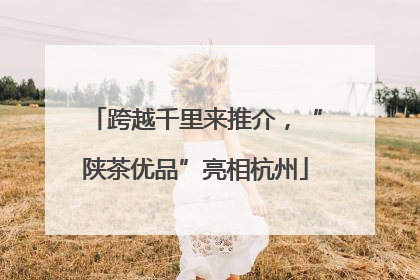 跨越千里来推介，“陕茶优品”亮相杭州