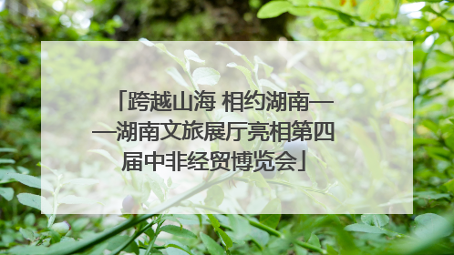 跨越山海 相约湖南——湖南文旅展厅亮相第四届中非经贸博览会