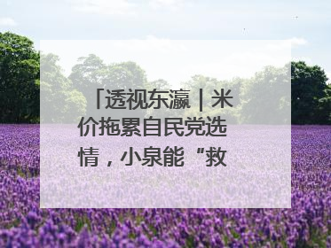 透视东瀛｜米价拖累自民党选情，小泉能“救”石破茂吗