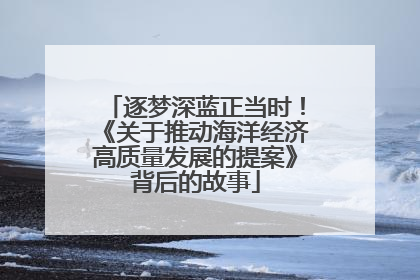 逐梦深蓝正当时！《关于推动海洋经济高质量发展的提案》背后的故事