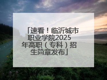 速看！临沂城市职业学院2025年高职（专科）招生简章发布
