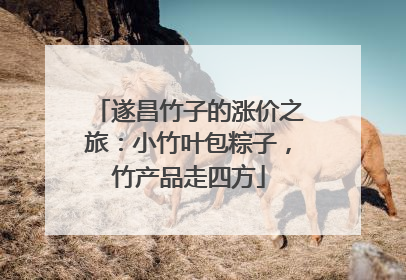 遂昌竹子的涨价之旅：小竹叶包粽子，竹产品走四方