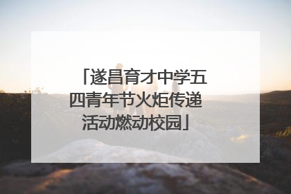 遂昌育才中学五四青年节火炬传递活动燃动校园
