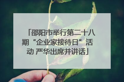 邵阳市举行第二十八期“企业家接待日”活动 严华出席并讲话
