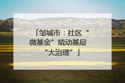 邹城市：社区“微基金”撬动基层“大治理”