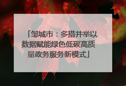 邹城市：多措并举以数据赋能绿色低碳高质量政务服务新模式