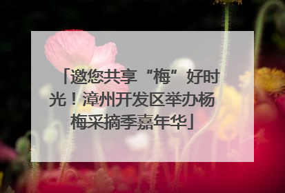 邀您共享“梅”好时光！漳州开发区举办杨梅采摘季嘉年华