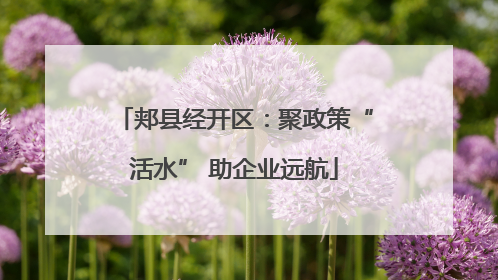 郏县经开区：聚政策“活水” 助企业远航