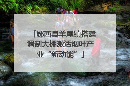 郧西县羊尾镇搭建调制大棚激活烟叶产业“新动能”