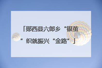郧西县六郎乡“银茧”织就振兴“金路”