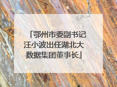 鄂州市委副书记汪小波出任湖北大数据集团董事长