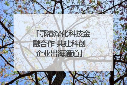 鄂港深化科技金融合作 共建科创企业出海通道