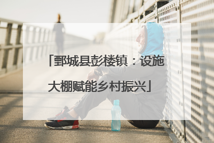 鄄城县彭楼镇：设施大棚赋能乡村振兴
