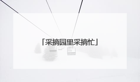 采摘园里采摘忙