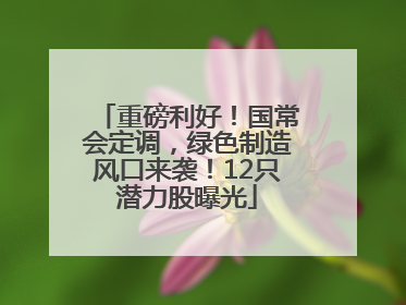 重磅利好！国常会定调，绿色制造风口来袭！12只潜力股曝光