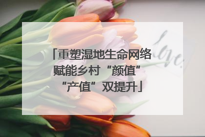 重塑湿地生命网络 赋能乡村“颜值”“产值”双提升