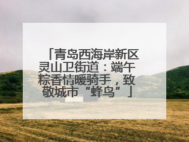 青岛西海岸新区灵山卫街道：端午粽香情暖骑手，致敬城市“蜂鸟”