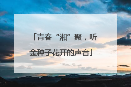 青春“湘”聚，听金种子花开的声音