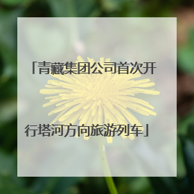 青藏集团公司首次开行塔河方向旅游列车