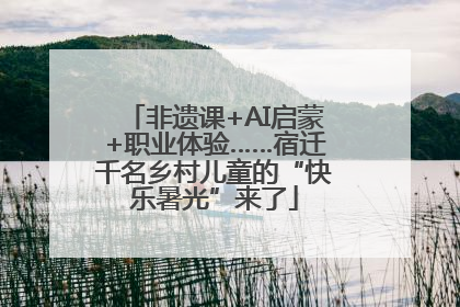 非遗课+AI启蒙+职业体验……宿迁千名乡村儿童的“快乐暑光”来了
