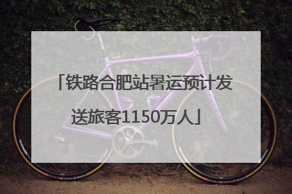 铁路合肥站暑运预计发送旅客1150万人
