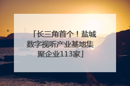 长三角首个！盐城数字视听产业基地集聚企业113家