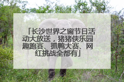 长沙世界之窗节日活动大放送，猪猪侠乐园趣跑赛、抓鸭大赛、网红挑战全都有