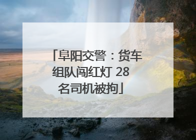 阜阳交警：货车组队闯红灯 28名司机被拘