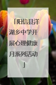 阳信县洋湖乡中学开展心理健康月系列活动