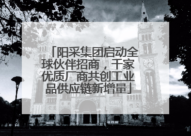 阳采集团启动全球伙伴招商，千家优质厂商共创工业品供应链新增量