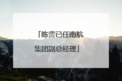 陈詟已任南航集团副总经理