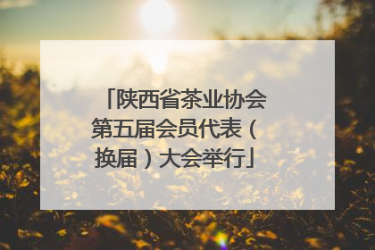陕西省茶业协会第五届会员代表（换届）大会举行
